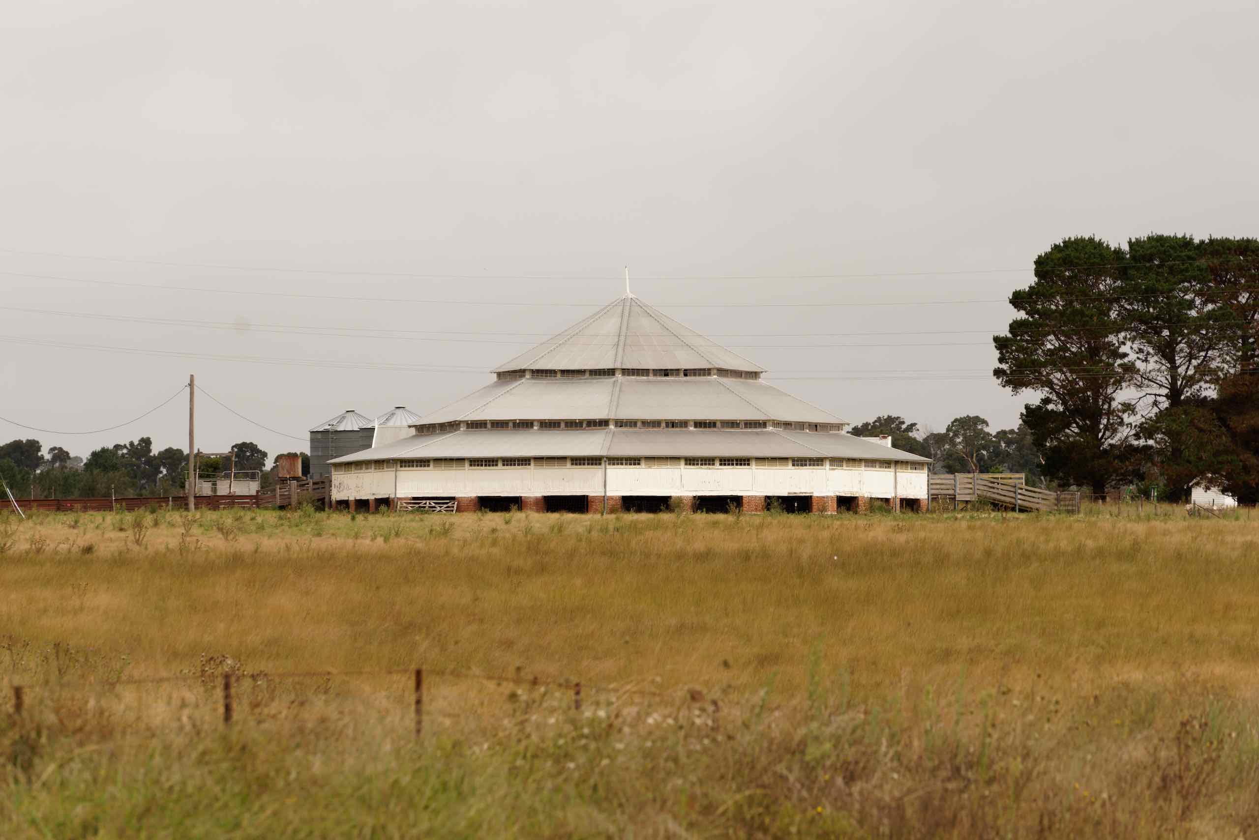 Day 5: Deeargee Woolshed